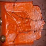 Vraj-Yatra-2014- (769)